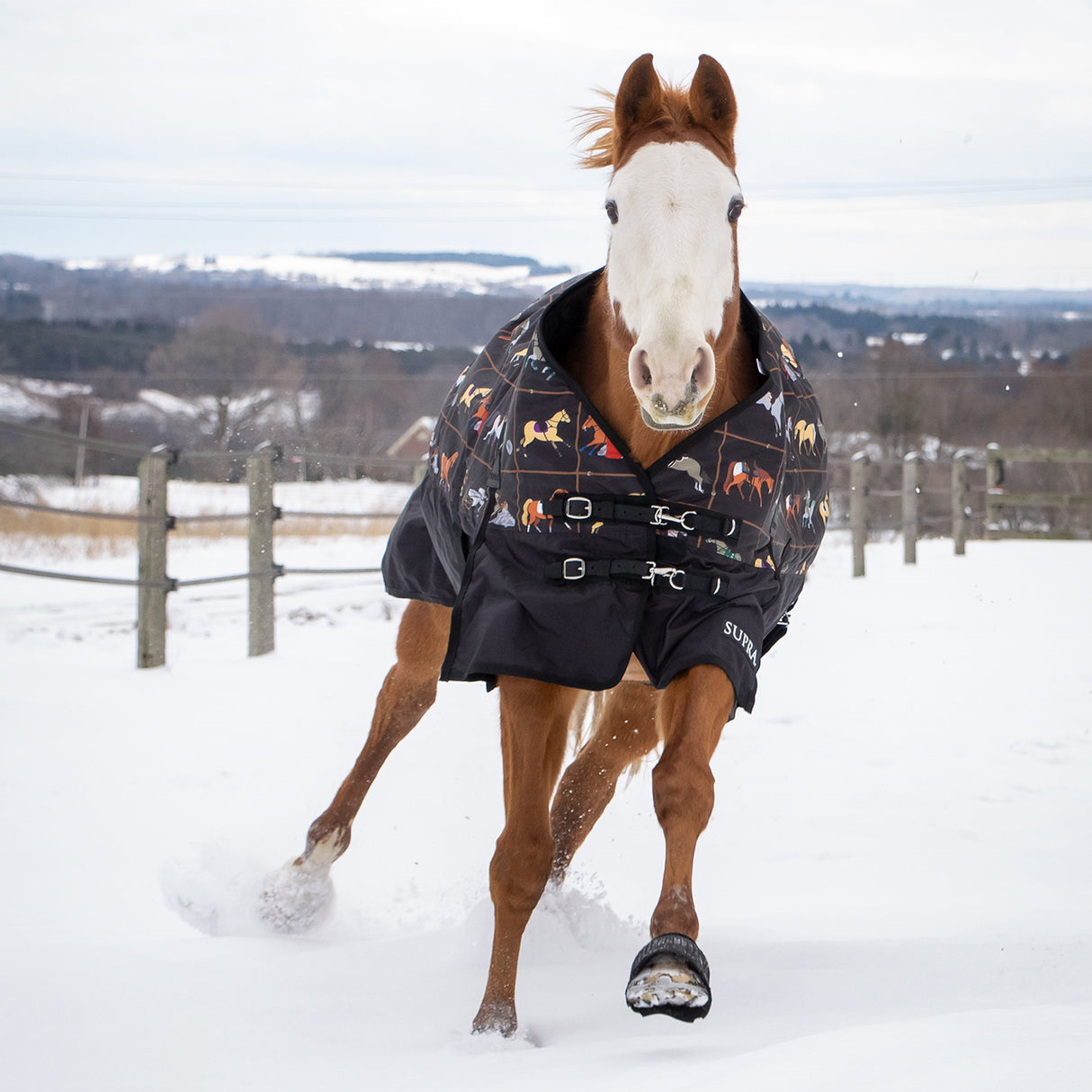 Supra Turnout Blanket 300 g