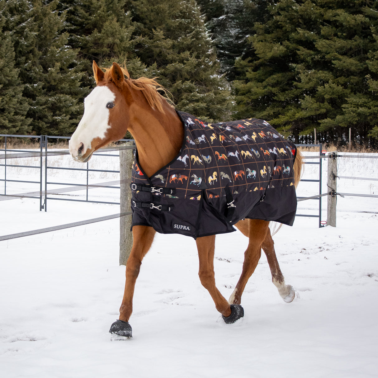 Supra Turnout Blanket 300 g