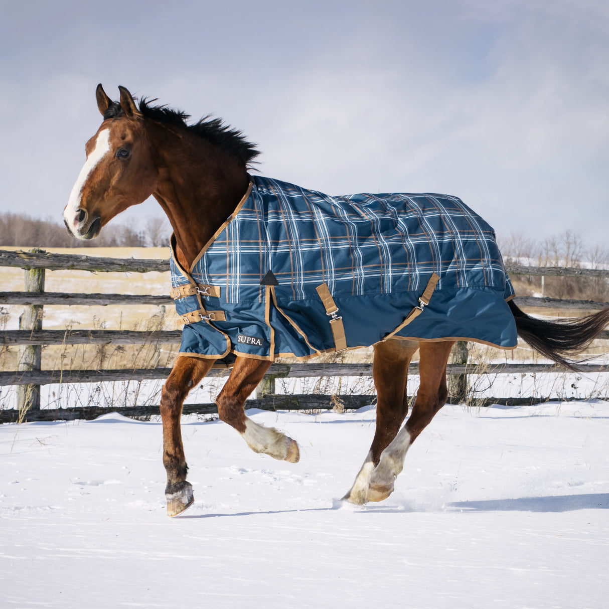 Supra Turnout Blanket 300 g