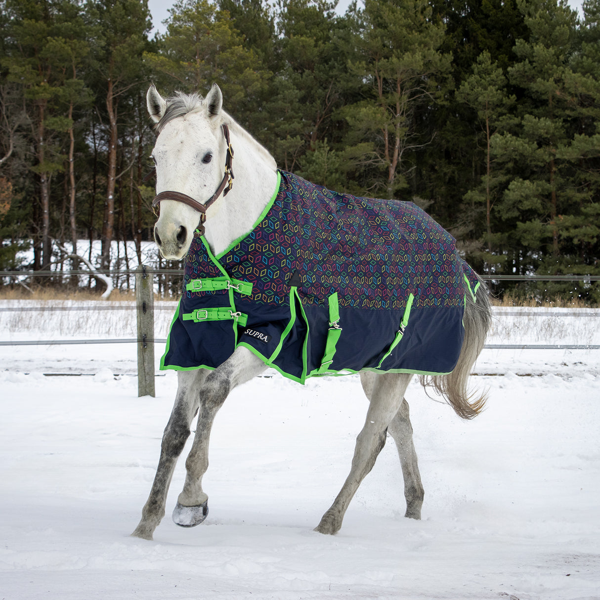 Supra Turnout Blanket 300 g