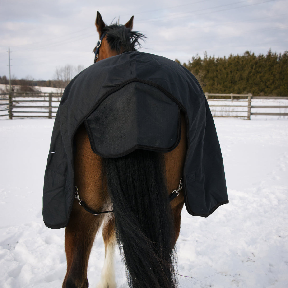 Shedrow Turnout Blanket 150 g