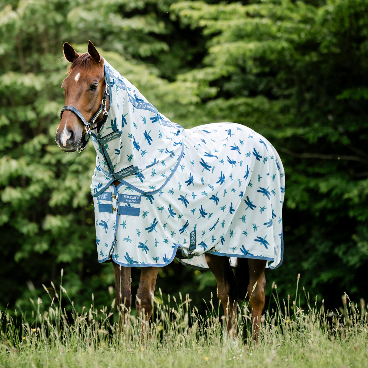Amigo Bug Rug Plus Fly Sheet