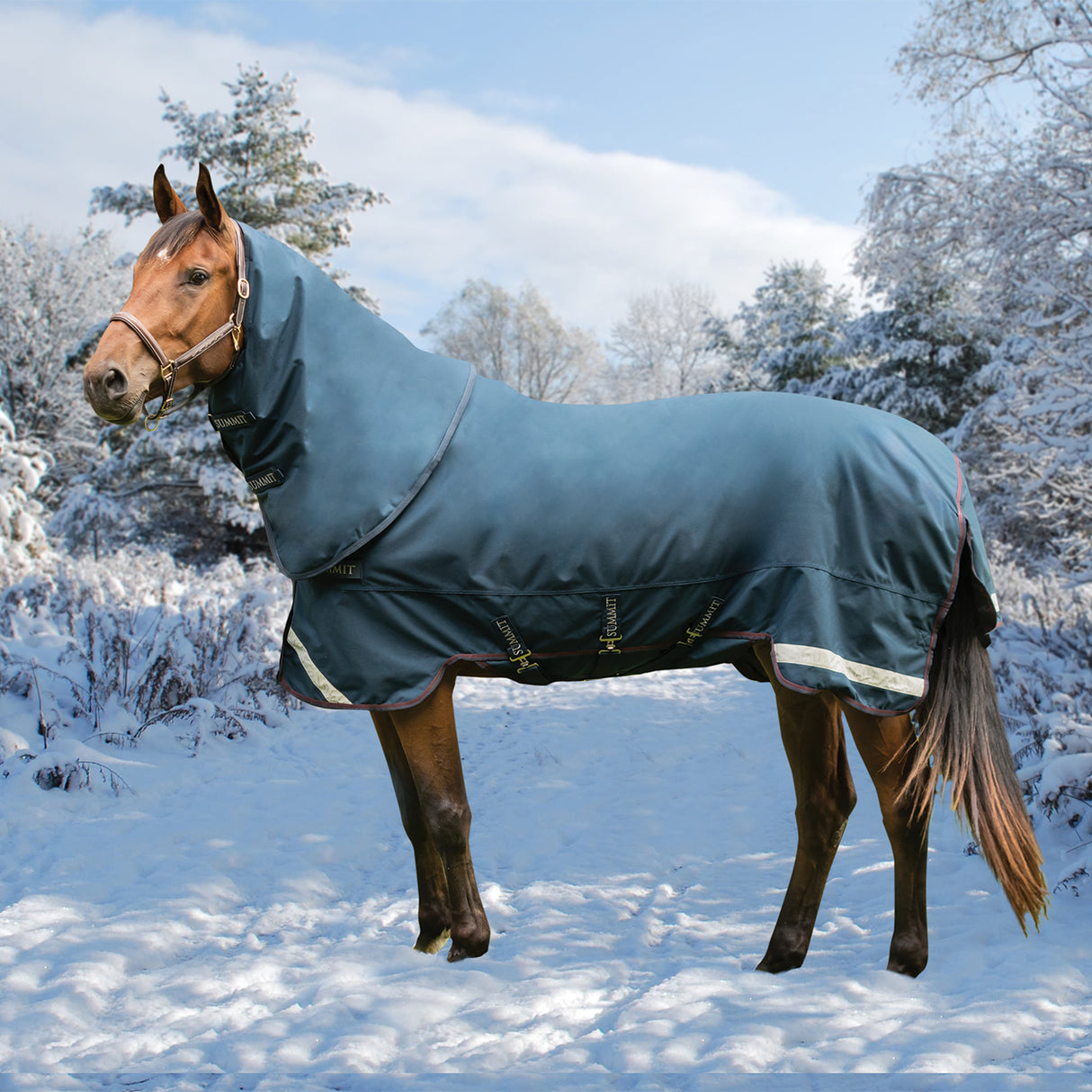 Summit Nova Turnout Blanket 400 g W/ 150 g Hood