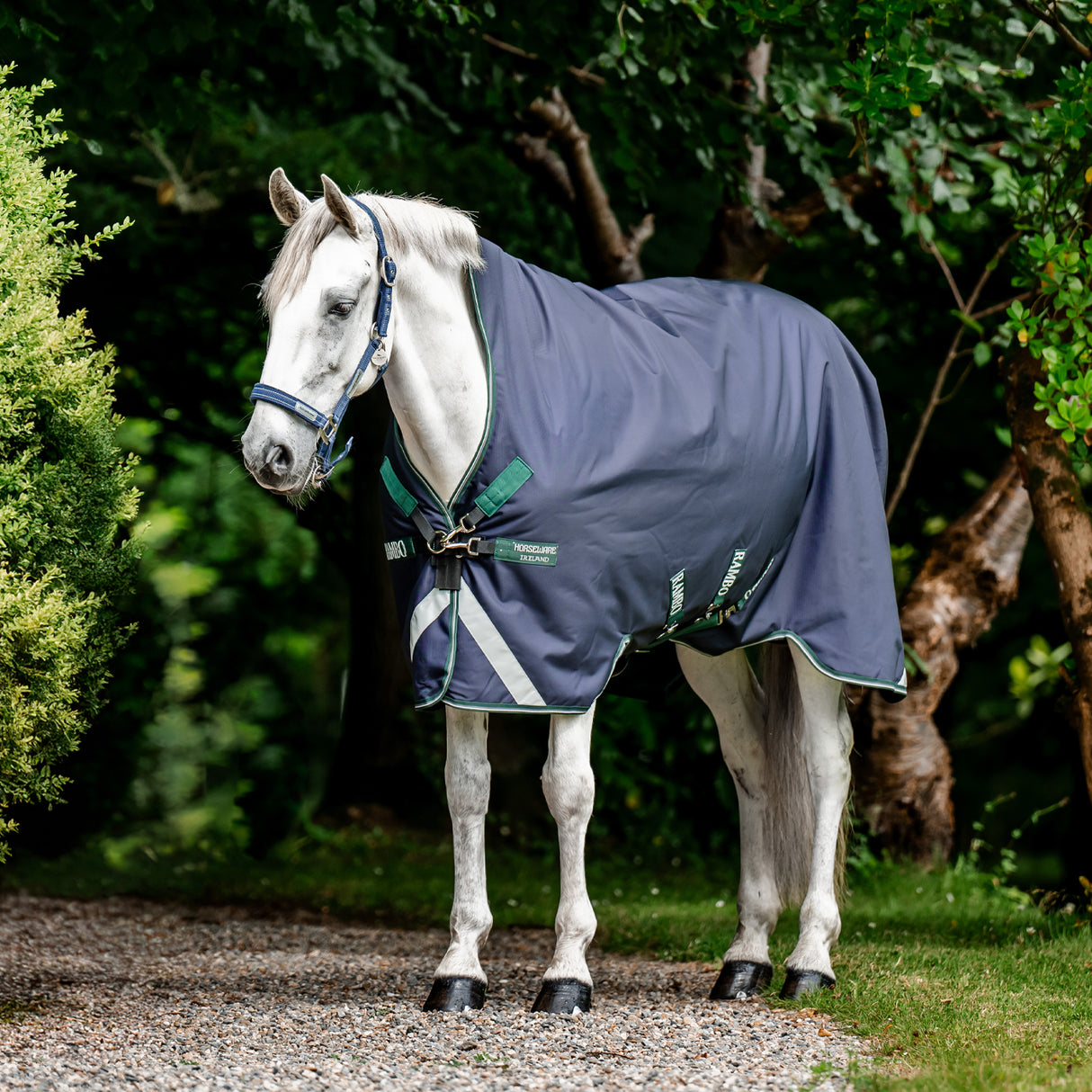 Rambo Wug 1680D Turnout Blanket 200 g