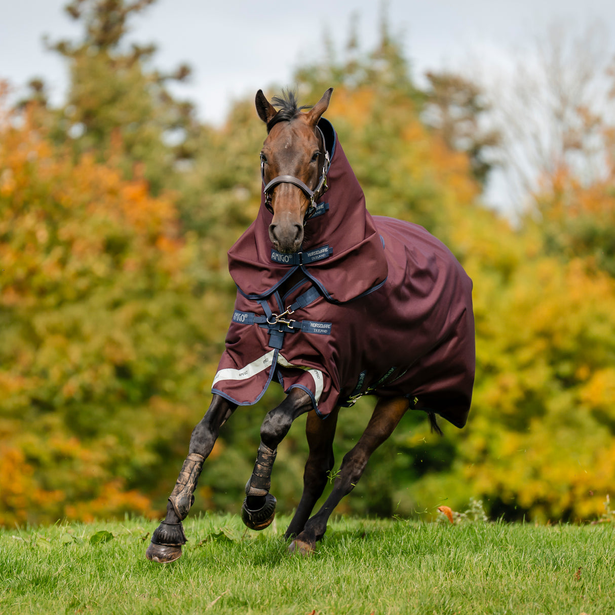 Amigo 1200D Plus Turnout Blanket 50 g