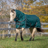 Shedrow Turnout Blanket W/ Hood 100 g