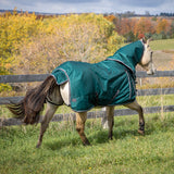 Shedrow Turnout Blanket W/ Hood 100 g