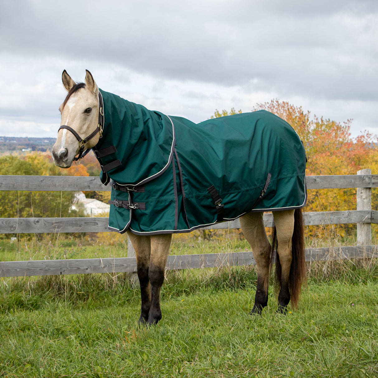 Shedrow Turnout Blanket W/ Hood 100 g