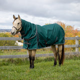 Shedrow Turnout Blanket W/ Hood 100 g
