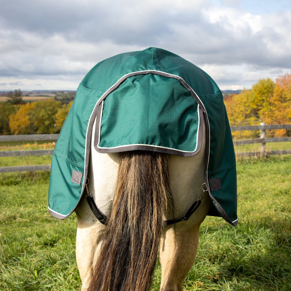 Shedrow Turnout Blanket W/ Hood 100 g