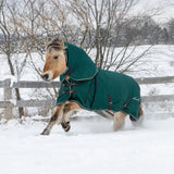 Shedrow Turnout Blanket W/ Hood 300 g
