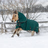 Shedrow Turnout Blanket W/ Hood 300 g