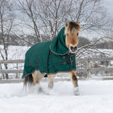 Shedrow Turnout Blanket W/ Hood 300 g