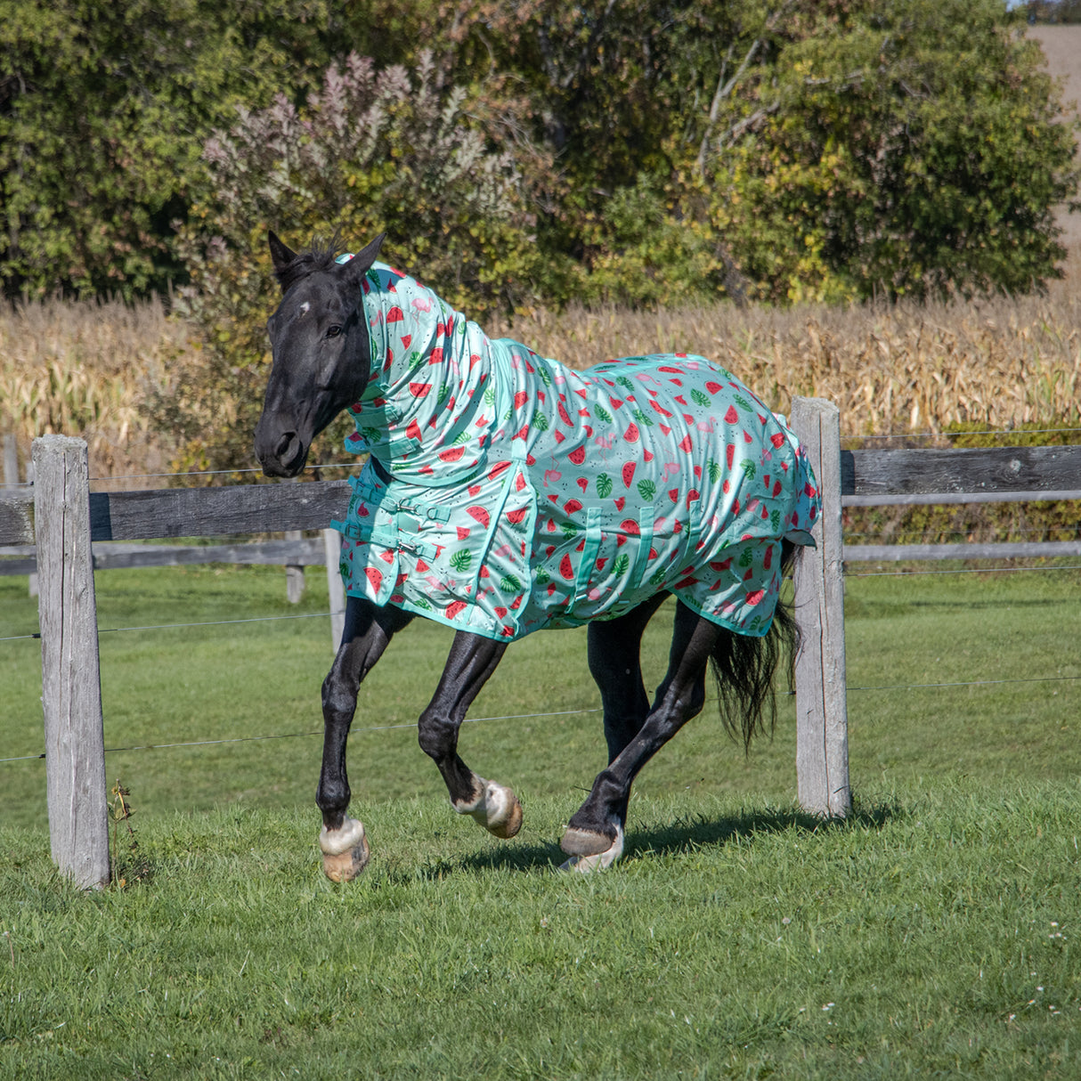 Shedrow Flamingo Breeze Extend-A-Neck Fly Sheet