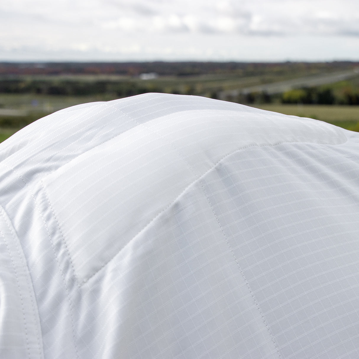 Shedrow Sweet Itch Sheet