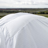 Shedrow Sweet Itch Sheet