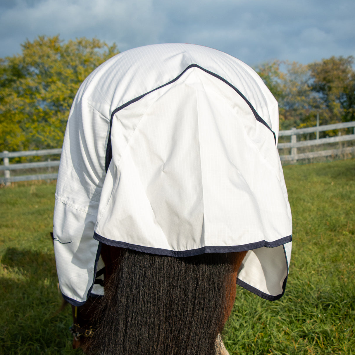 Shedrow Sweet Itch Sheet