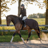 Shedrow Softshell Exercise Sheet