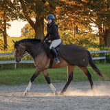 Shedrow Softshell Exercise Sheet