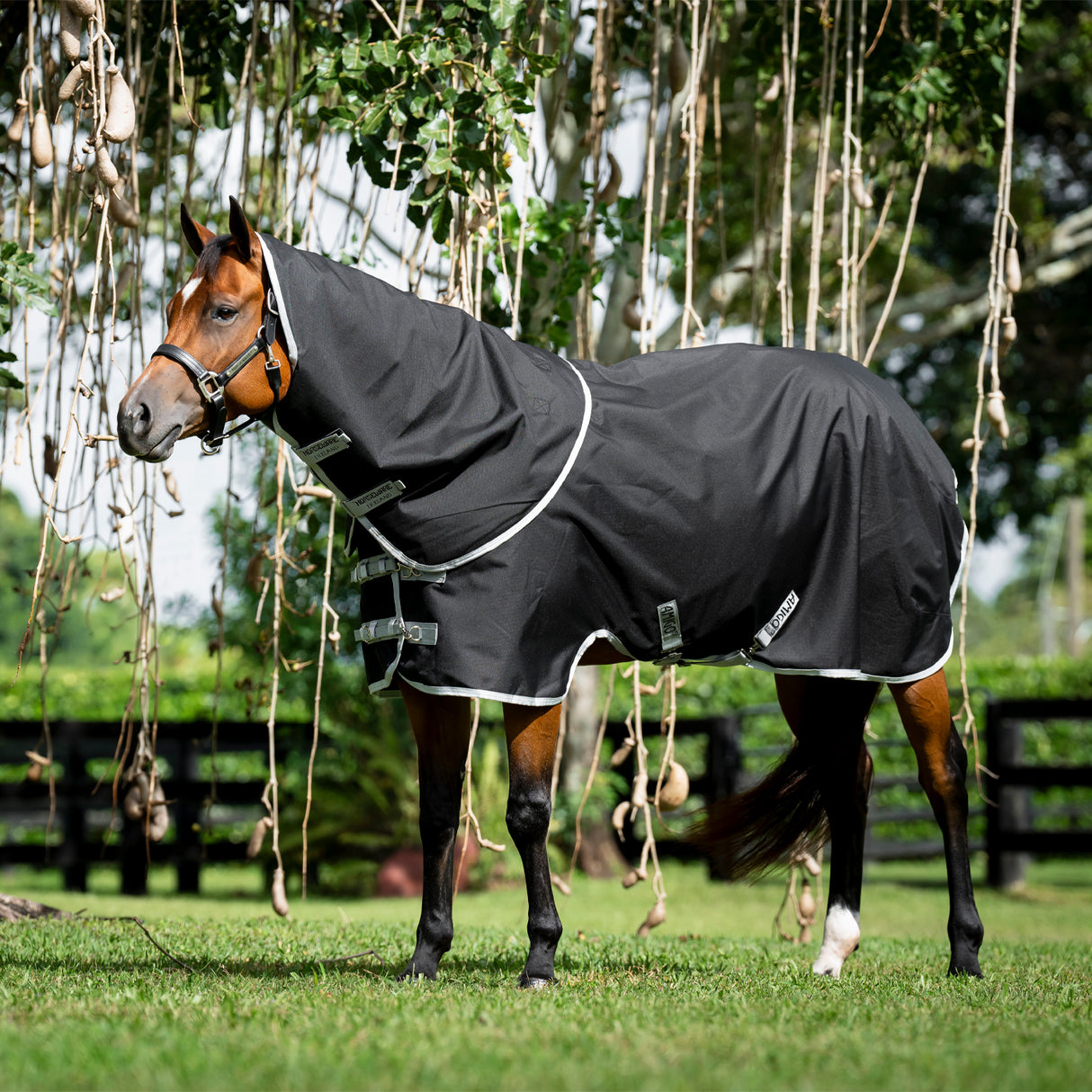 Amigo Ripstop Quarter Horse Plus Turnout Blanket 200 g