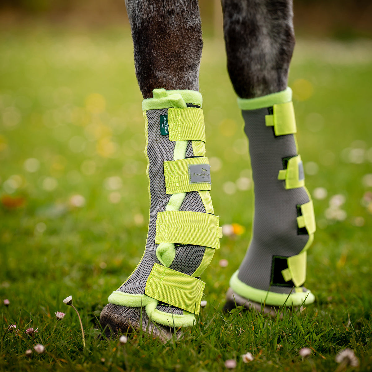 Horseware Fly Boots – Greenhawk USA