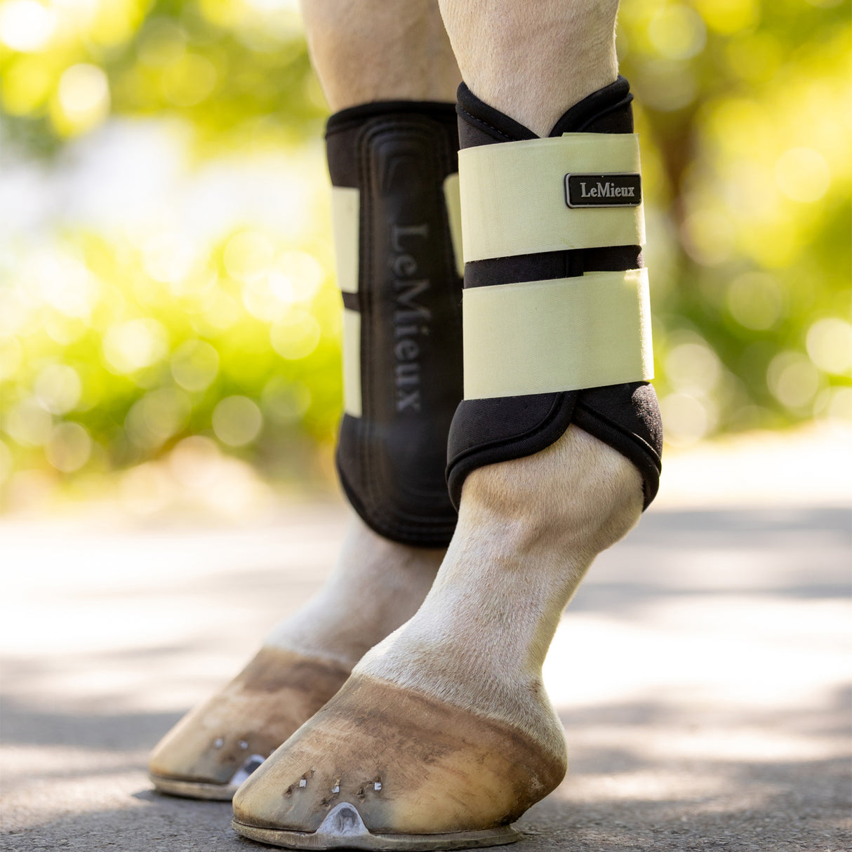 LeMieux Air Tek Grafter Brushing Boots