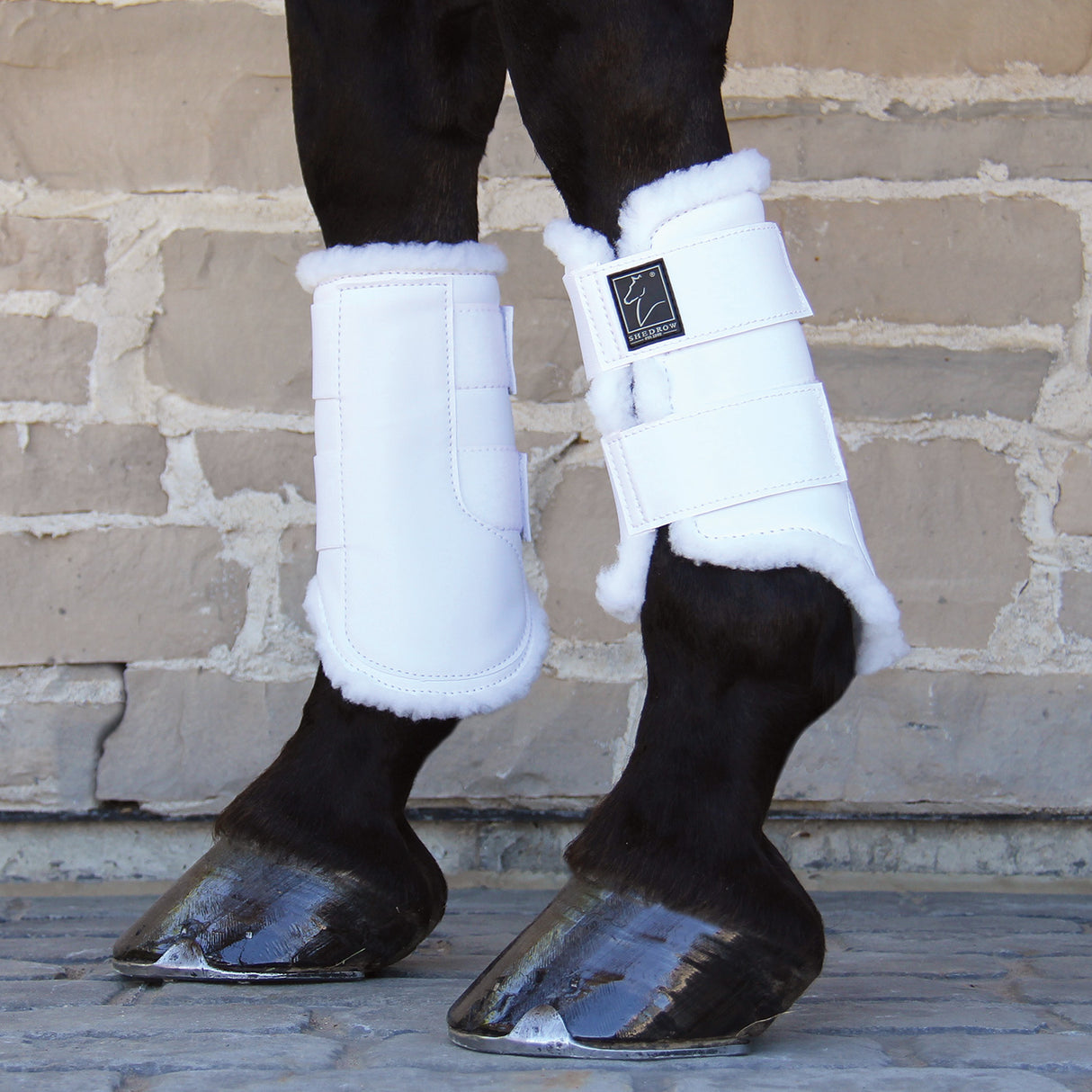 Shedrow Sport Boots