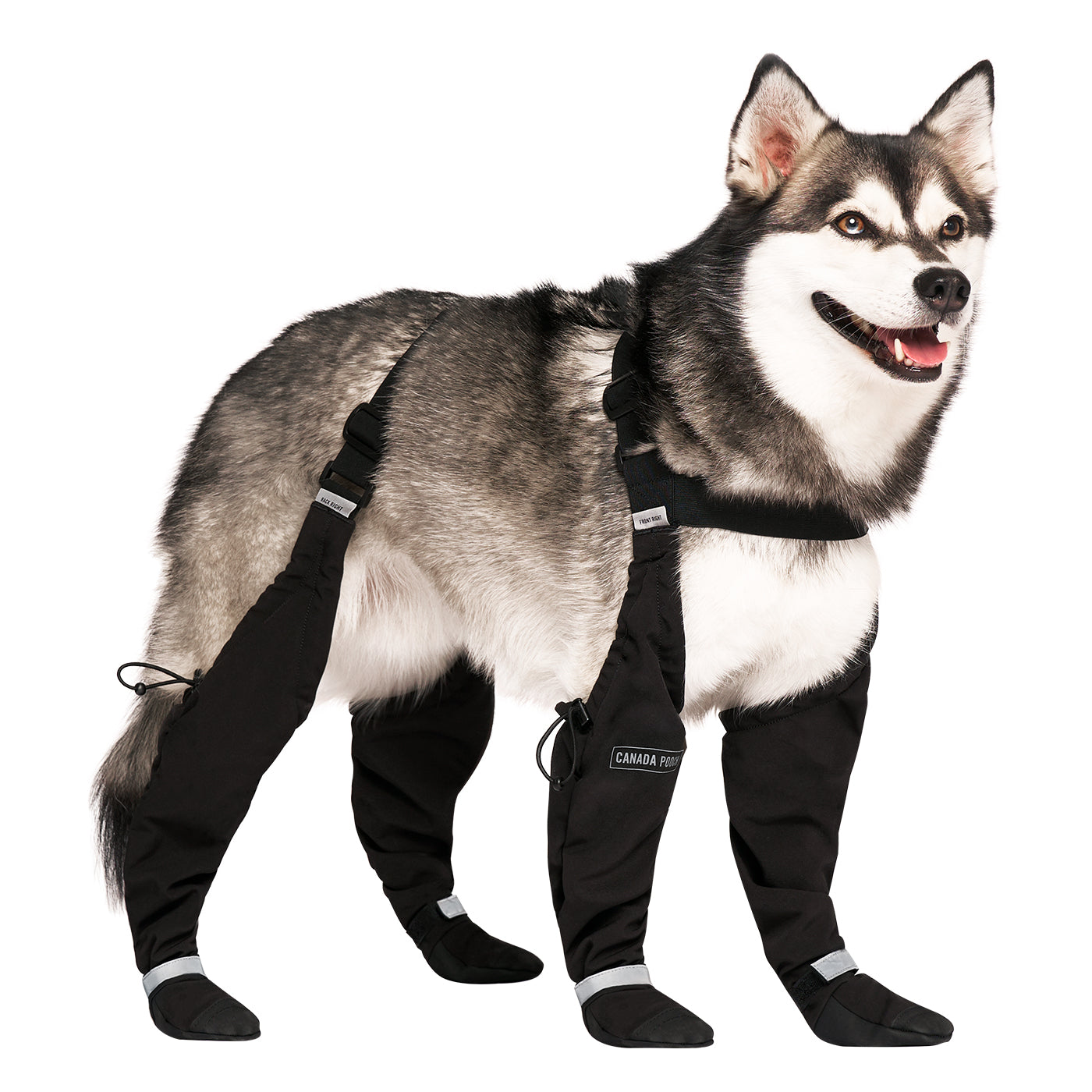 Canada Pooch Suspender Boots Size 1 Greenhawk USA