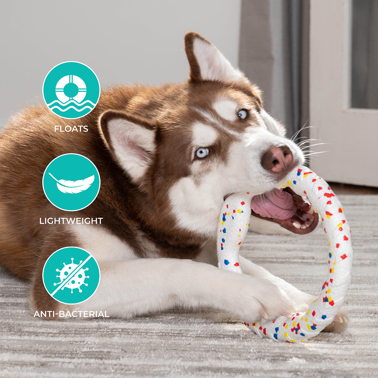 Shedrow K9 FlexiPlay Tug Ring