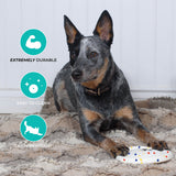 Shedrow K9 FlexiPlay Frisbee