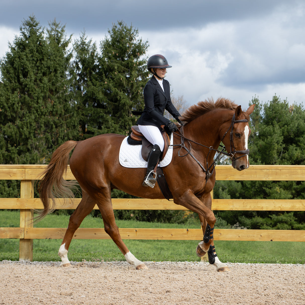 Nikara Bravura Show Jacket