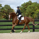 Elation Platinum Carrera Show Jacket