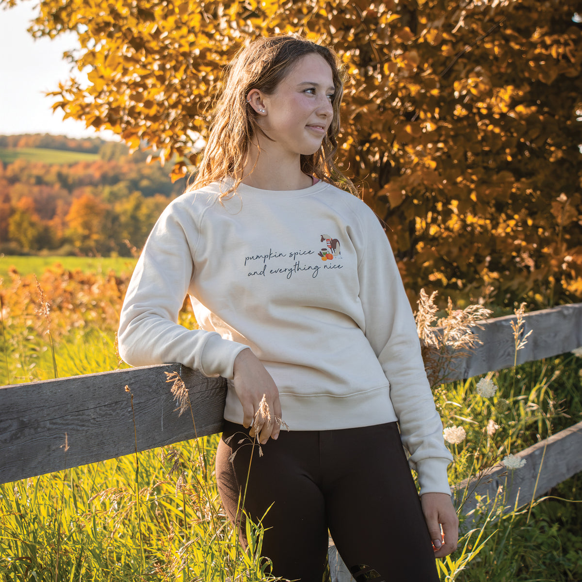 Pumpkin Spice Ponies x Aerion Spice & Everything Nice Sweatshirt