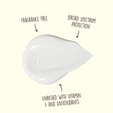Sun Bum SPF 50 Face Lotion 3 oz.