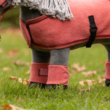 LeMieux Toy Pony Wraps