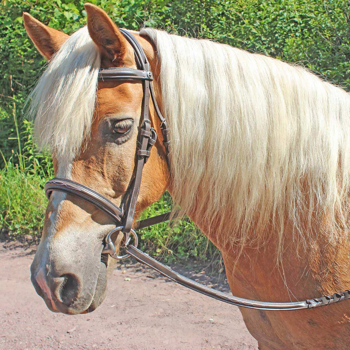 Henri De Rivel Pro Fancy Raised Comfort Crown Padded Bridle W/ Fancy Raised Reins