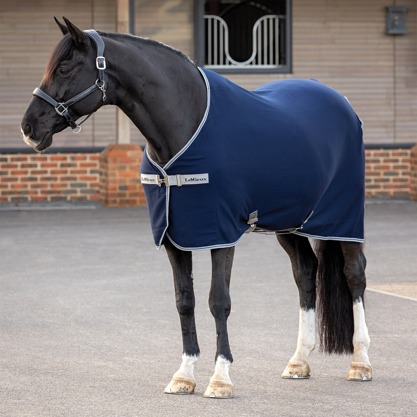 LeMieux Arika Jersey-Tek Fleece Sheet - Thumbnail 2