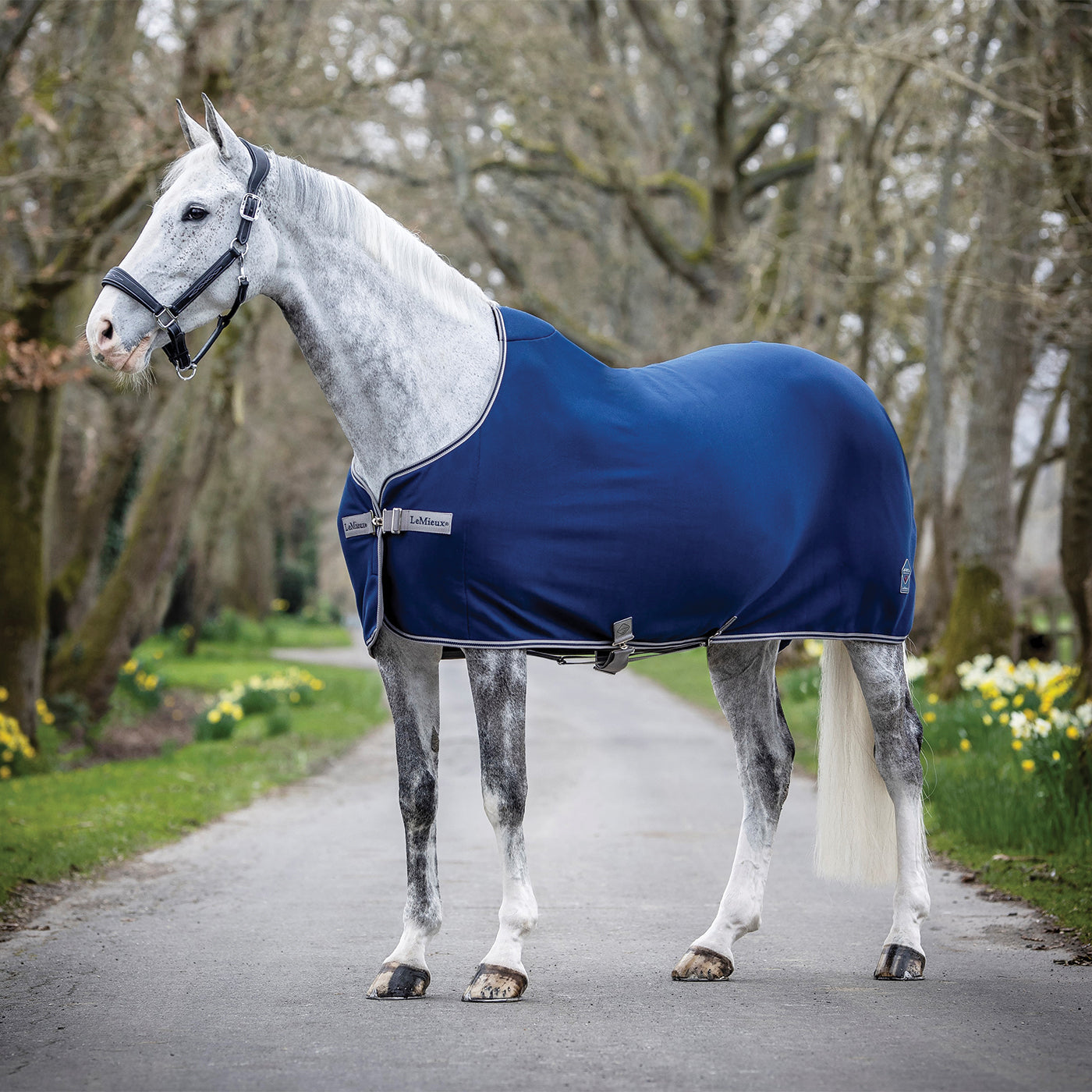 LeMieux Arika Jersey-Tek Fleece Sheet - Thumbnail 4