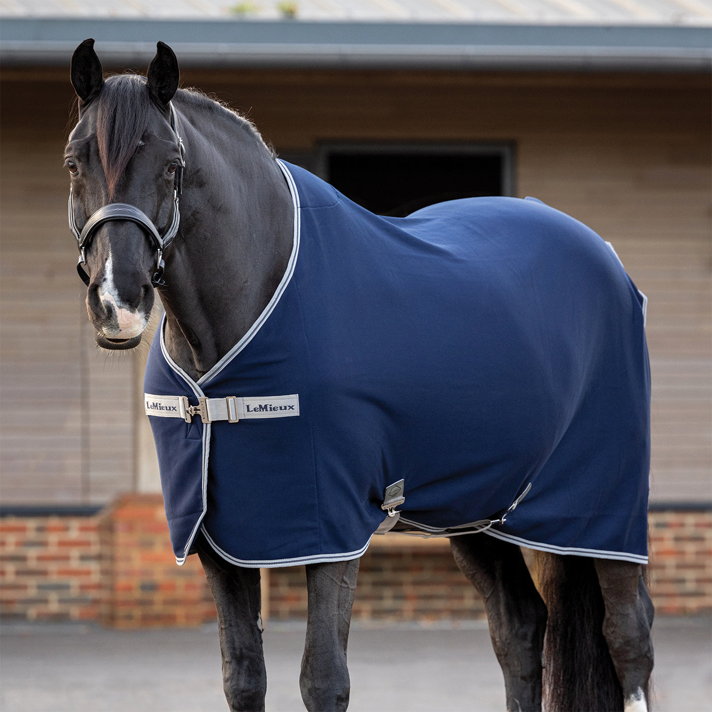 LeMieux Arika Jersey-Tek Fleece Sheet - Thumbnail 3