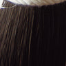 Trophy Tails ½ lb. Hunter Tail