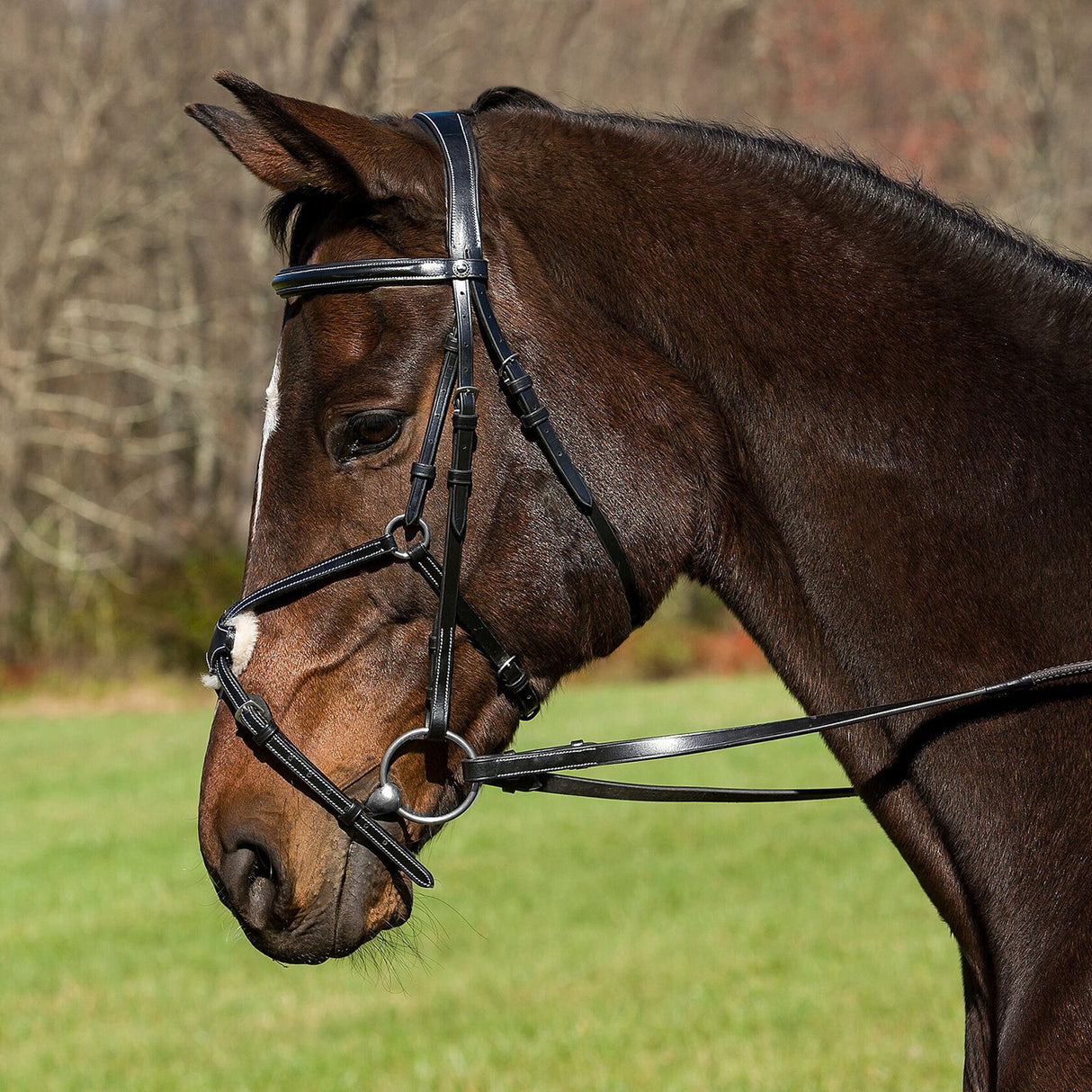 Henri De Rivel Pro Mono Crown Raised Figure Eight Bridle W/ Rubber Reins
