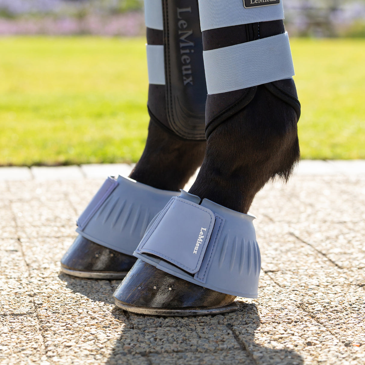 LeMieux Rubber Bell Boots
