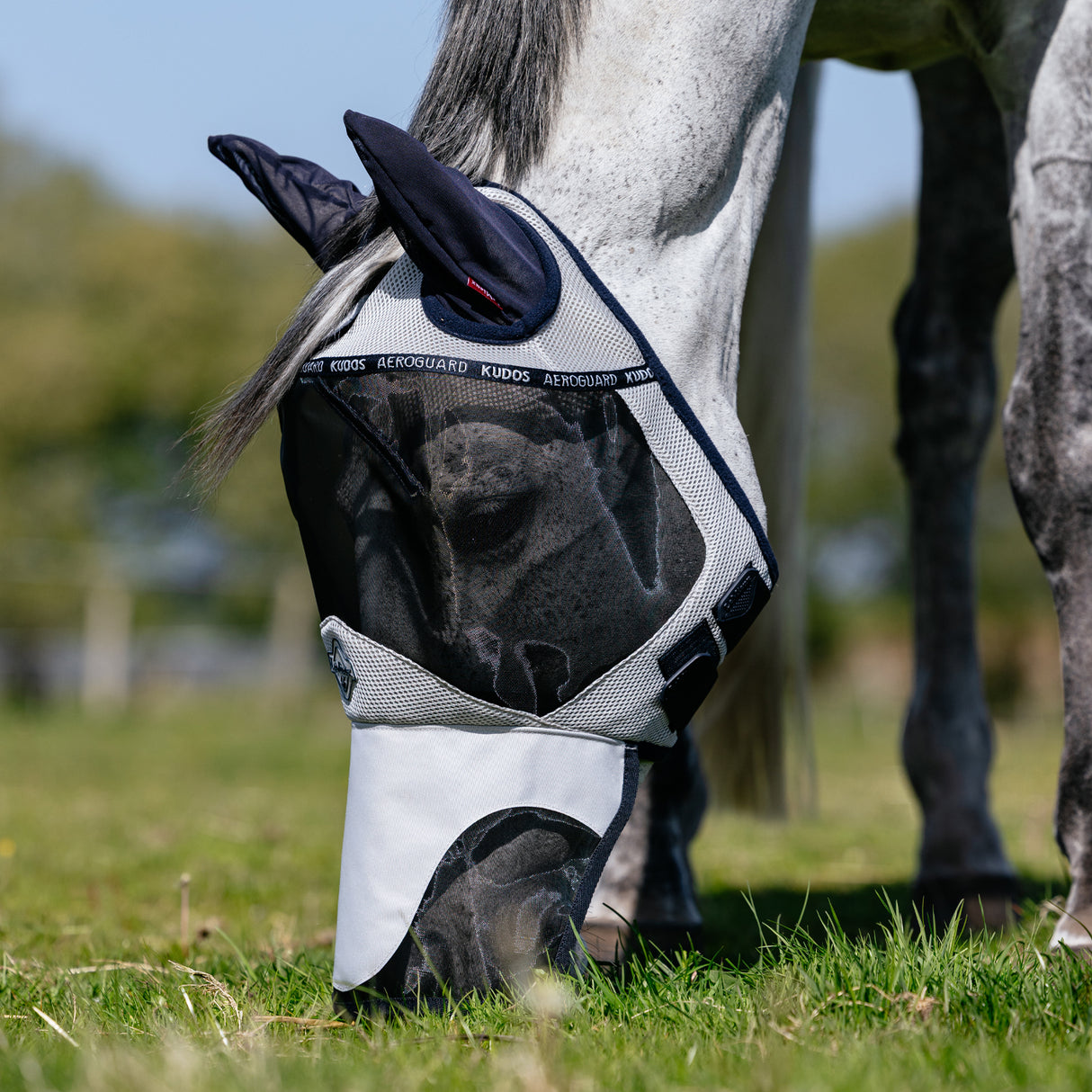 LeMieux Kudos Aeroguard Full Fly Mask