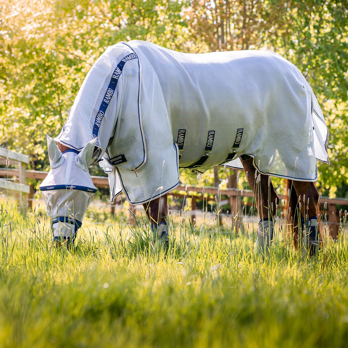 Rambo Plus Fly Mask