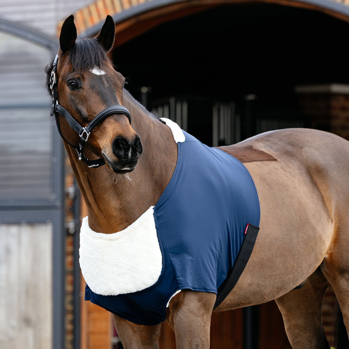 LeMieux Sensitive Anti-Rub Bib Guard