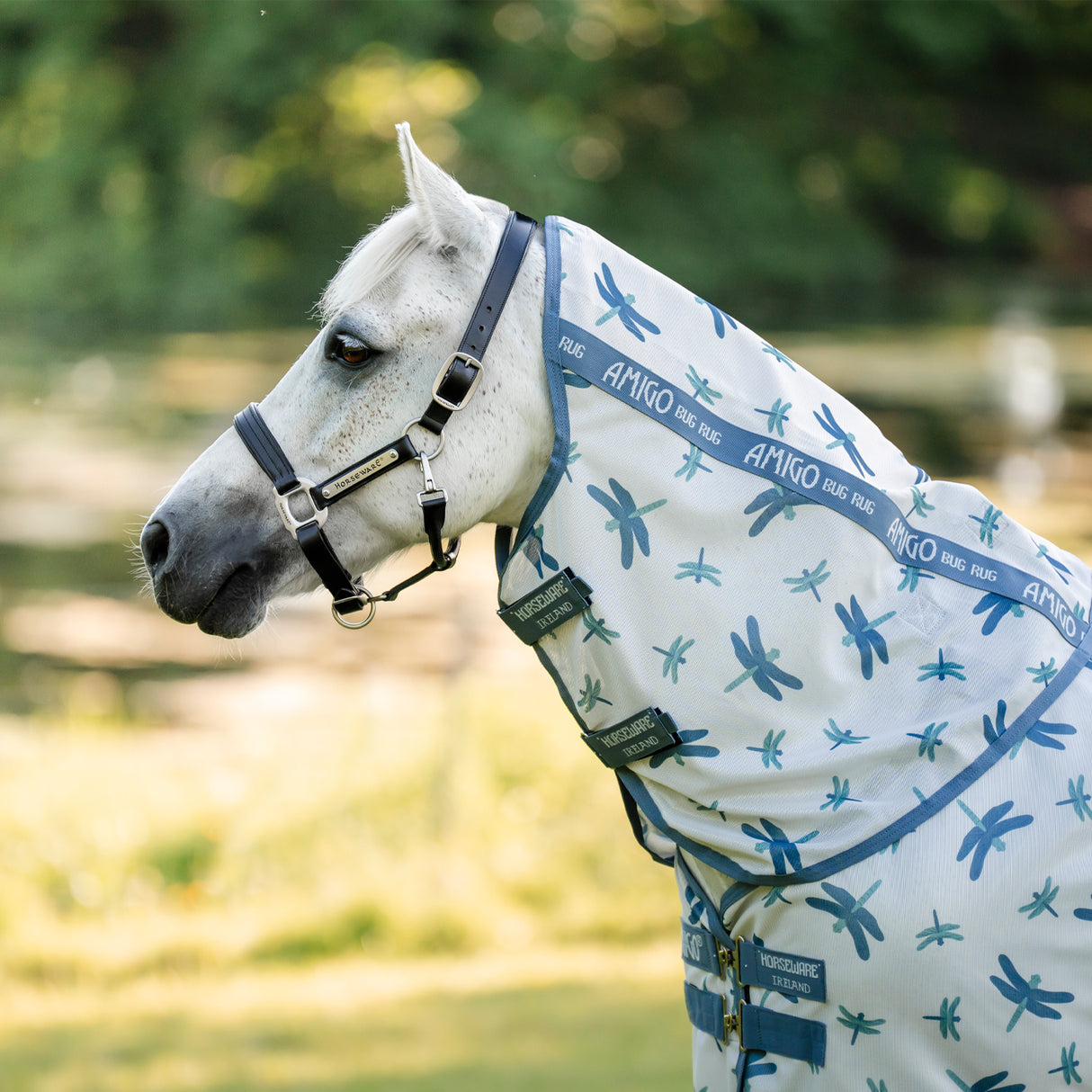Amigo Bug Rug Plus Pony Fly Sheet
