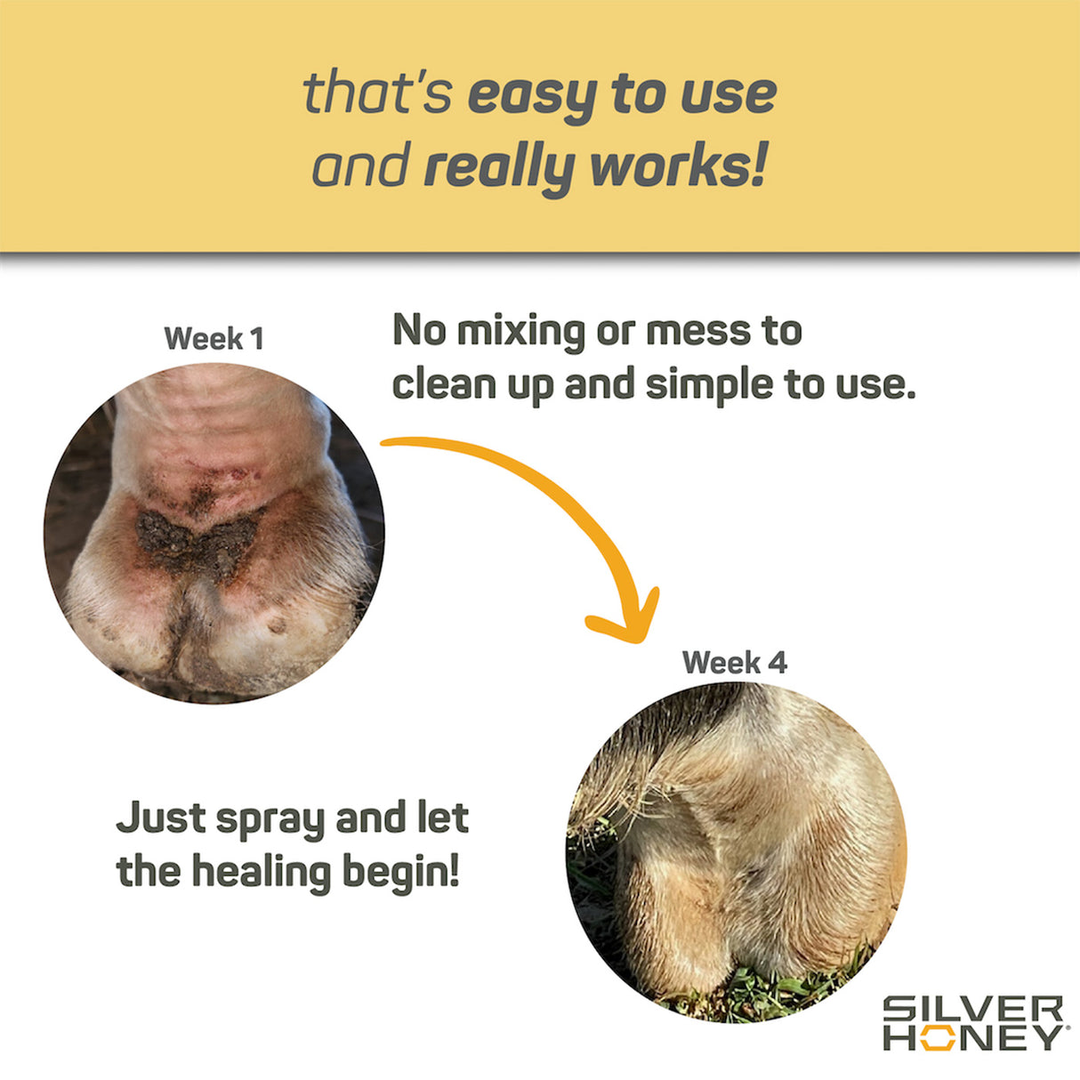 Absorbine Silver Honey Scratches Spray 6 oz.