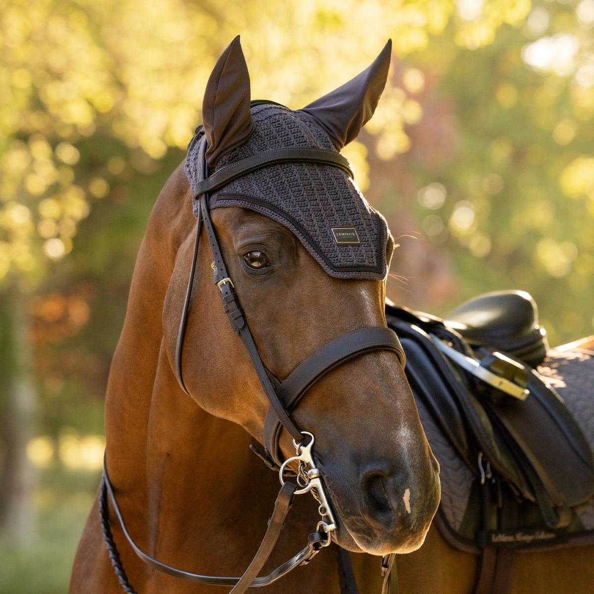 LeMieux Heritage Fly Veil