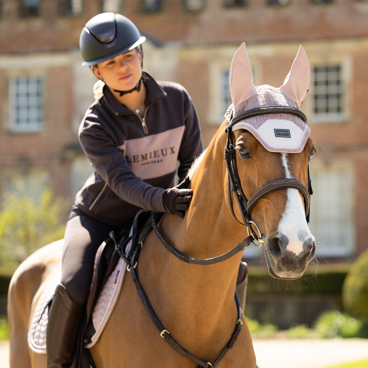 LeMieux Heritage Fly Veil