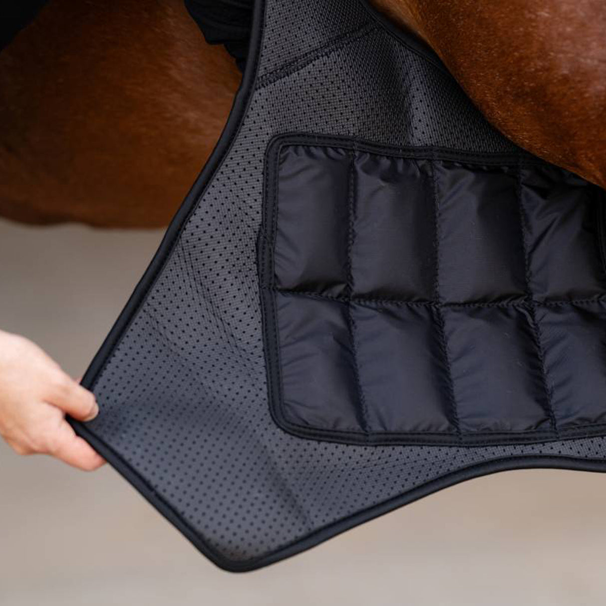 Professional's Choice Stifle Ice Wraps